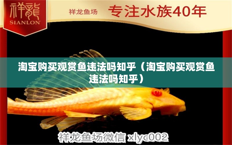 淘寶購買觀賞魚違法嗎知乎（淘寶購買觀賞魚違法嗎知乎） 網上購買觀賞魚