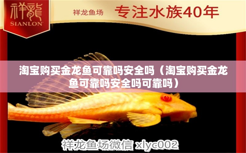 淘寶購(gòu)買金龍魚可靠嗎安全嗎（淘寶購(gòu)買金龍魚可靠嗎安全嗎可靠嗎）