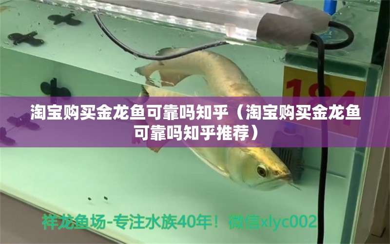 淘寶購(gòu)買金龍魚可靠嗎知乎（淘寶購(gòu)買金龍魚可靠嗎知乎推薦） 網(wǎng)上購(gòu)買觀賞魚