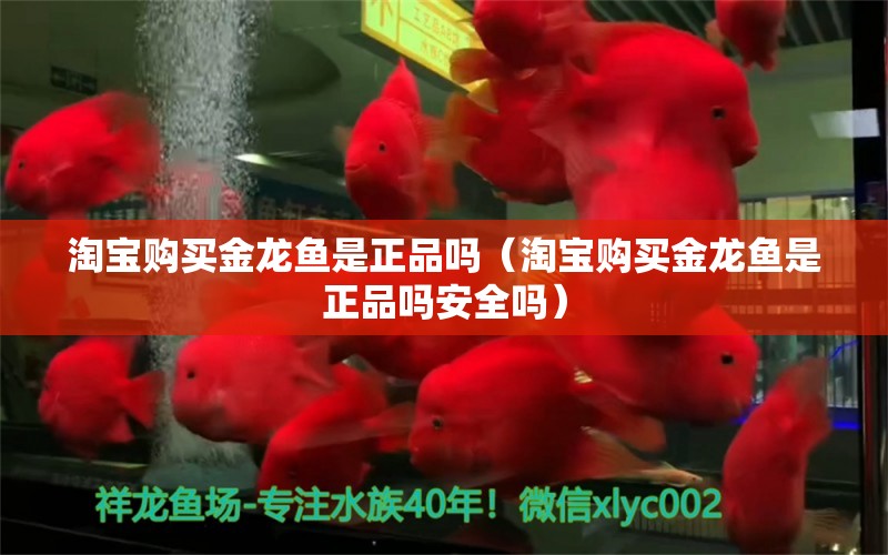 淘寶購(gòu)買金龍魚是正品嗎（淘寶購(gòu)買金龍魚是正品嗎安全嗎）