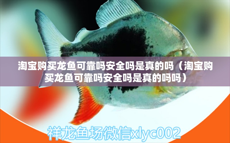 淘寶購買龍魚可靠嗎安全嗎是真的嗎（淘寶購買龍魚可靠嗎安全嗎是真的嗎嗎）