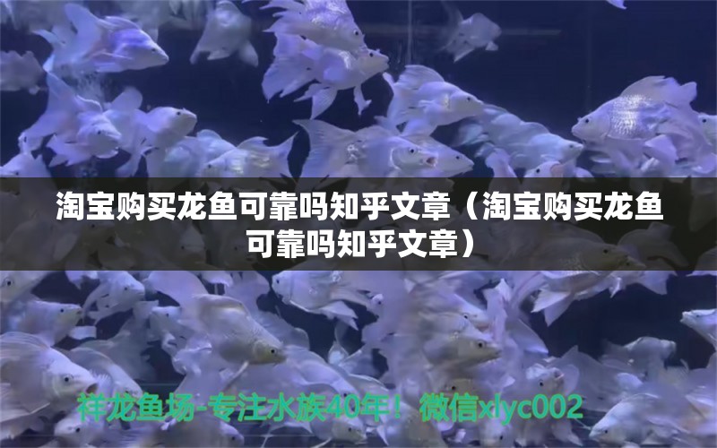 淘寶購(gòu)買龍魚可靠嗎知乎文章（淘寶購(gòu)買龍魚可靠嗎知乎文章）