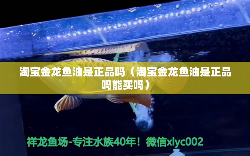 淘寶金龍魚油是正品嗎（淘寶金龍魚油是正品嗎能買嗎）