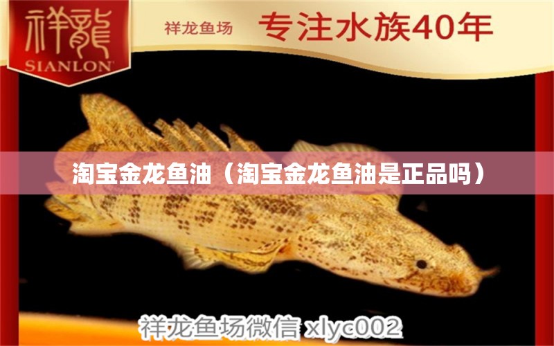 淘寶金龍魚油（淘寶金龍魚油是正品嗎）