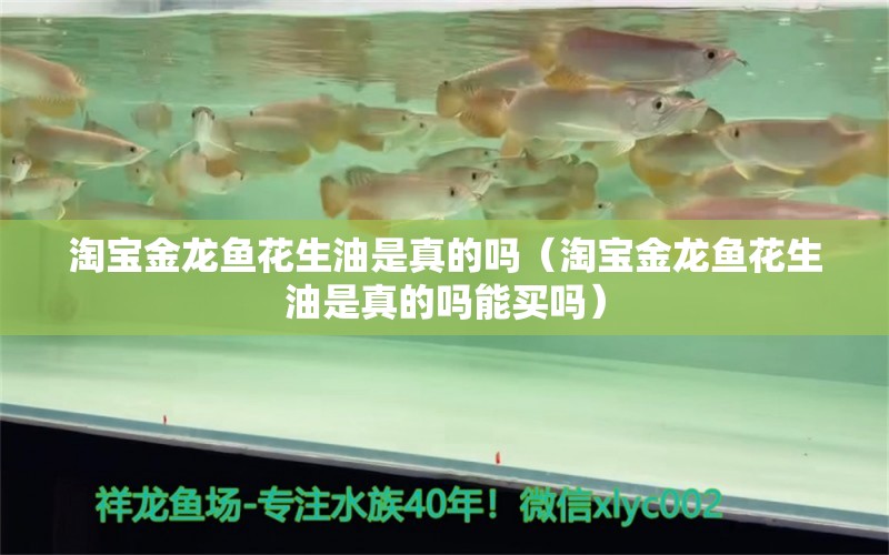 淘寶金龍魚花生油是真的嗎（淘寶金龍魚花生油是真的嗎能買嗎）