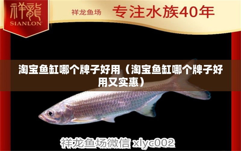 淘寶魚缸哪個(gè)牌子好用（淘寶魚缸哪個(gè)牌子好用又實(shí)惠） 祥龍水族醫(yī)院