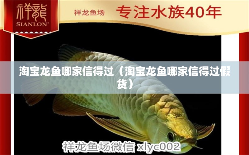 淘寶龍魚哪家信得過（淘寶龍魚哪家信得過假貨）