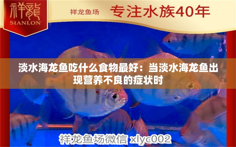 淡水海龍魚(yú)吃什么食物最好：當(dāng)?shù)｝堲~(yú)出現(xiàn)營(yíng)養(yǎng)不良的癥狀時(shí) 水族問(wèn)答