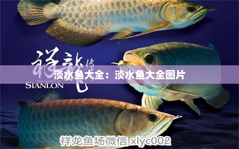 淡水魚(yú)大全：淡水魚(yú)大全圖片 觀賞魚(yú)百科