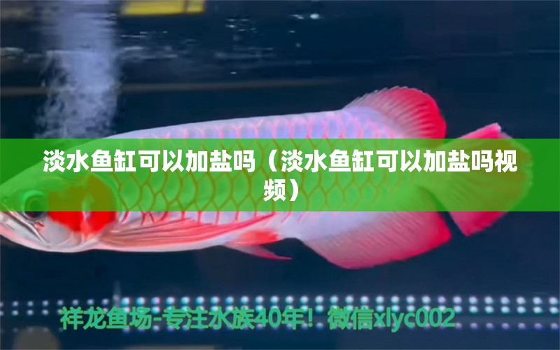 淡水魚缸可以加鹽嗎（淡水魚缸可以加鹽嗎視頻）