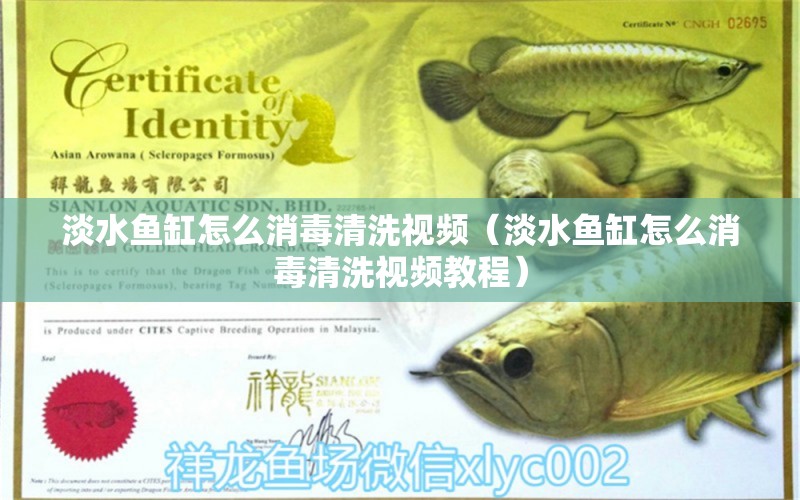 淡水魚缸怎么消毒清洗視頻（淡水魚缸怎么消毒清洗視頻教程）