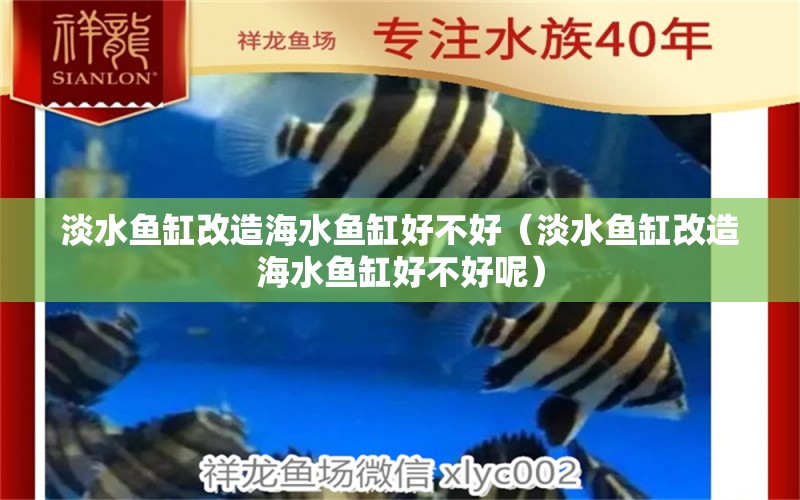 淡水魚缸改造海水魚缸好不好（淡水魚缸改造海水魚缸好不好呢）