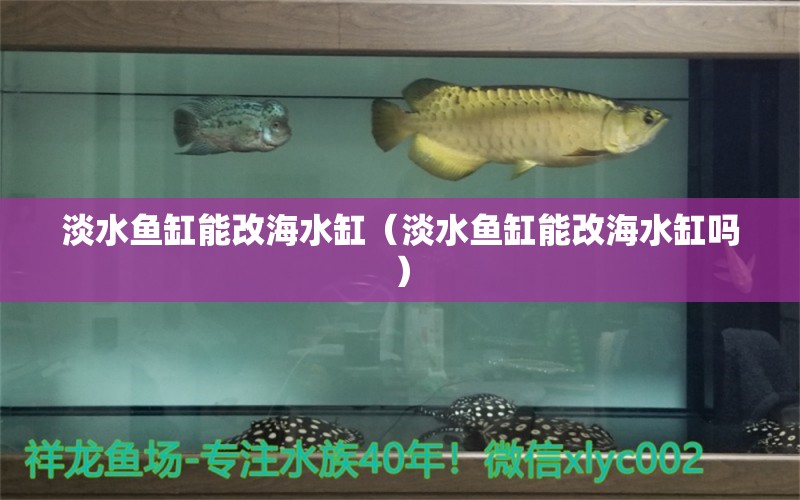 淡水魚缸能改海水缸（淡水魚缸能改海水缸嗎）