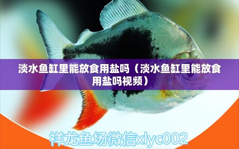 淡水魚缸里能放食用鹽嗎（淡水魚缸里能放食用鹽嗎視頻）