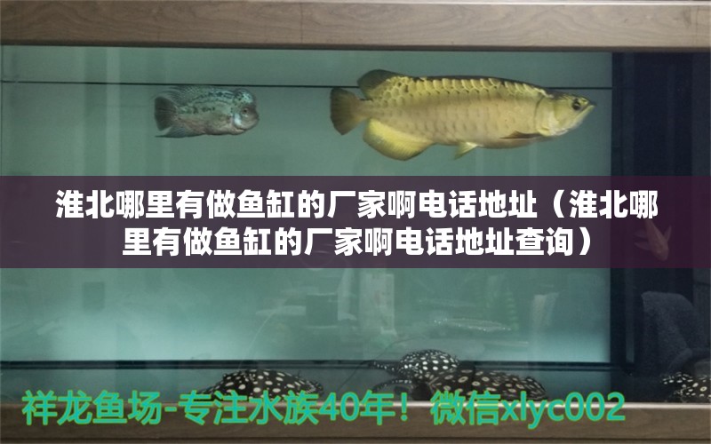 淮北哪里有做魚缸的廠家啊電話地址（淮北哪里有做魚缸的廠家啊電話地址查詢）