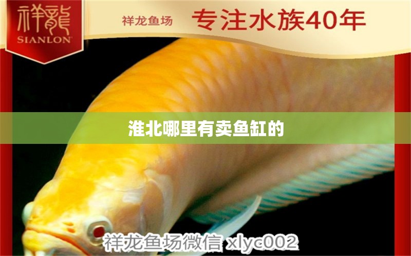 淮北哪里有賣(mài)魚(yú)缸的 其他品牌魚(yú)缸