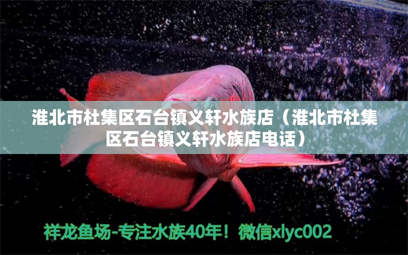 淮北市杜集區(qū)石臺(tái)鎮(zhèn)義軒水族店（淮北市杜集區(qū)石臺(tái)鎮(zhèn)義軒水族店電話）