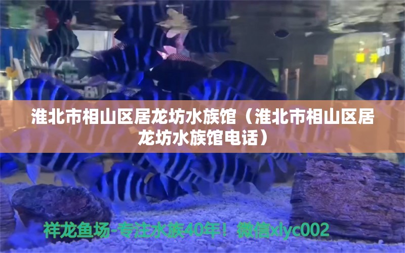 淮北市相山區(qū)居龍坊水族館（淮北市相山區(qū)居龍坊水族館電話） 全國水族館企業(yè)名錄