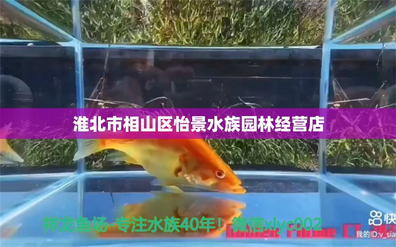 淮北市相山區(qū)怡景水族園林經(jīng)營店 全國水族館企業(yè)名錄