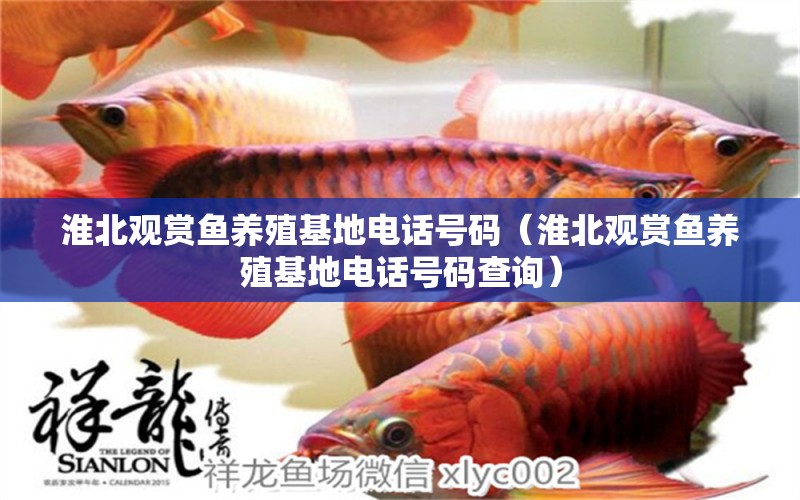 淮北觀賞魚養(yǎng)殖基地電話號(hào)碼（淮北觀賞魚養(yǎng)殖基地電話號(hào)碼查詢）