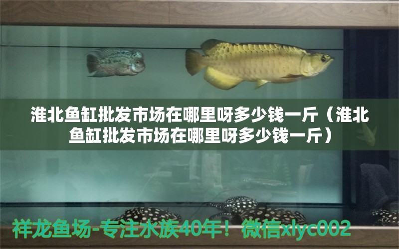 淮北魚缸批發(fā)市場在哪里呀多少錢一斤（淮北魚缸批發(fā)市場在哪里呀多少錢一斤）