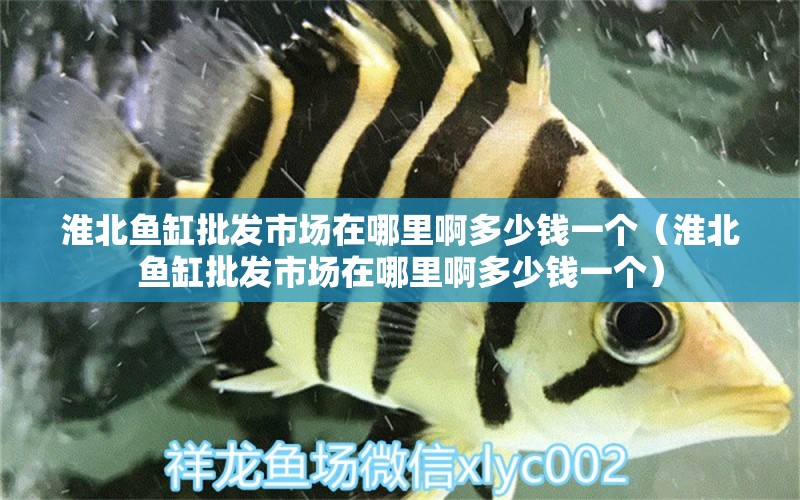 淮北魚缸批發(fā)市場在哪里啊多少錢一個(gè)（淮北魚缸批發(fā)市場在哪里啊多少錢一個(gè)）