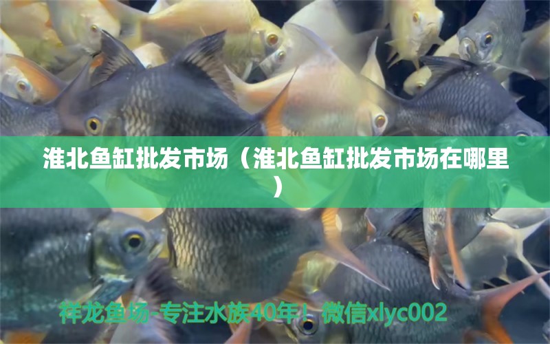 淮北魚缸批發(fā)市場（淮北魚缸批發(fā)市場在哪里）