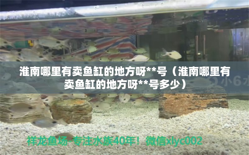 淮南哪里有賣魚缸的地方呀**號（淮南哪里有賣魚缸的地方呀**號多少） 野生埃及神仙魚