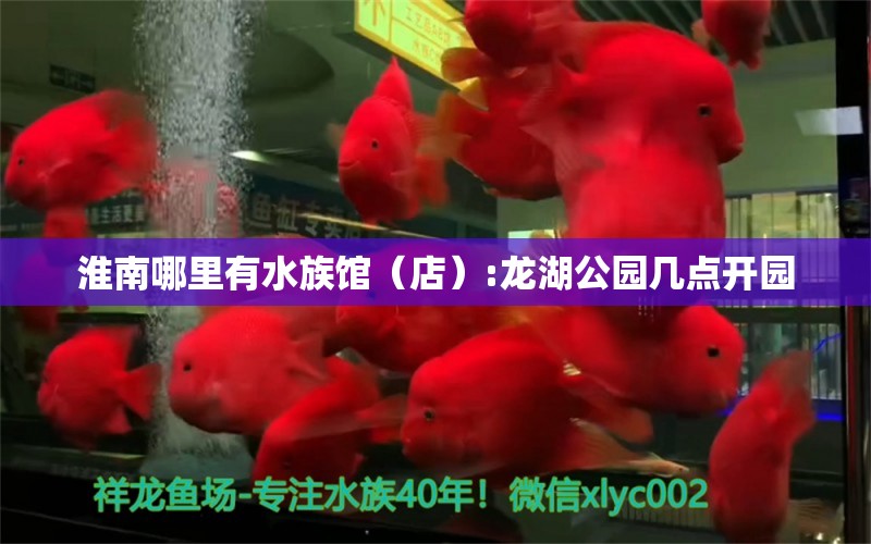 淮南哪里有水族館（店）:龍湖公園幾點(diǎn)開園