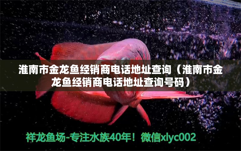 淮南市金龍魚經(jīng)銷商電話地址查詢（淮南市金龍魚經(jīng)銷商電話地址查詢號碼）