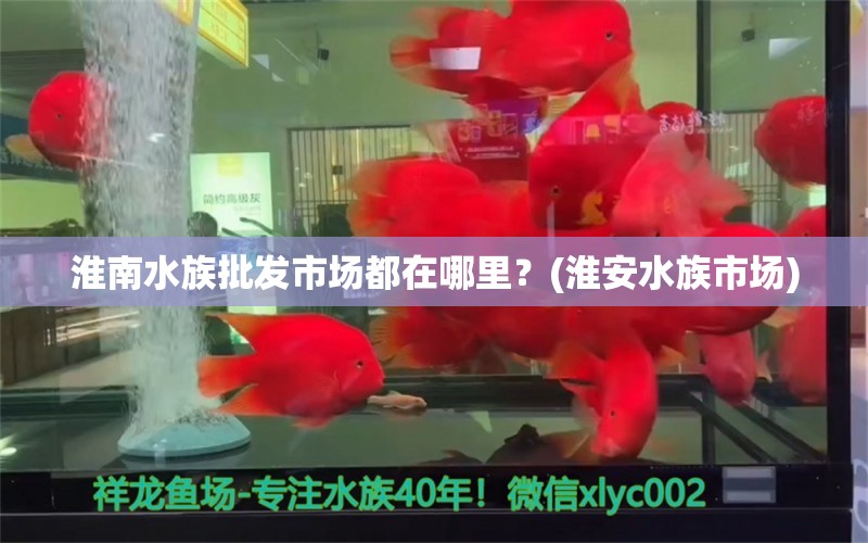 淮南水族批發(fā)市場(chǎng)都在哪里？(淮安水族市場(chǎng)) 觀賞魚水族批發(fā)市場(chǎng)