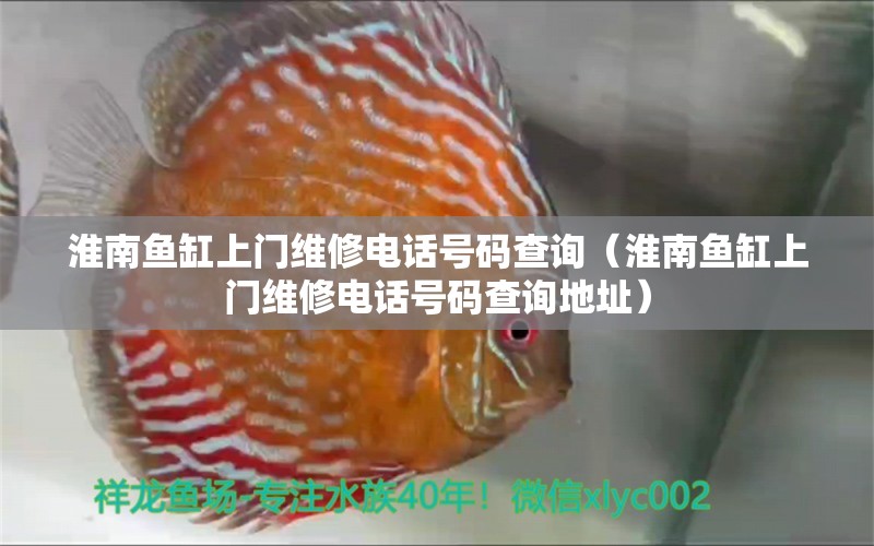 淮南魚(yú)缸上門維修電話號(hào)碼查詢（淮南魚(yú)缸上門維修電話號(hào)碼查詢地址） 白子關(guān)刀魚(yú)