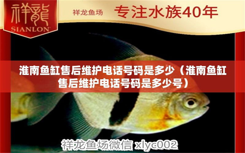 淮南魚缸售后維護(hù)電話號(hào)碼是多少（淮南魚缸售后維護(hù)電話號(hào)碼是多少號(hào)）