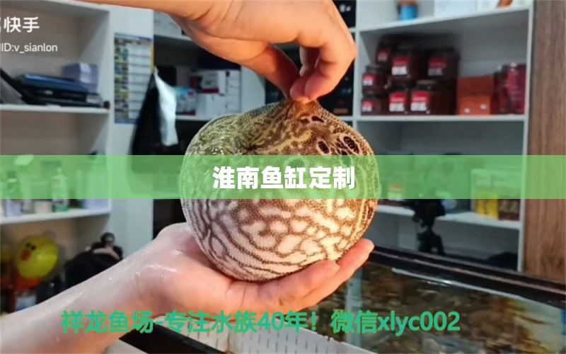 淮南魚缸定制