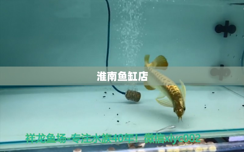 淮南魚缸店