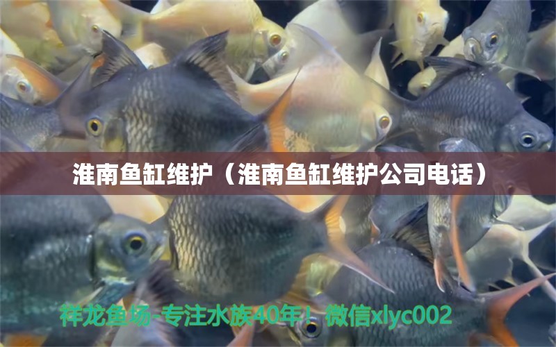 淮南魚(yú)缸維護(hù)（淮南魚(yú)缸維護(hù)公司電話）