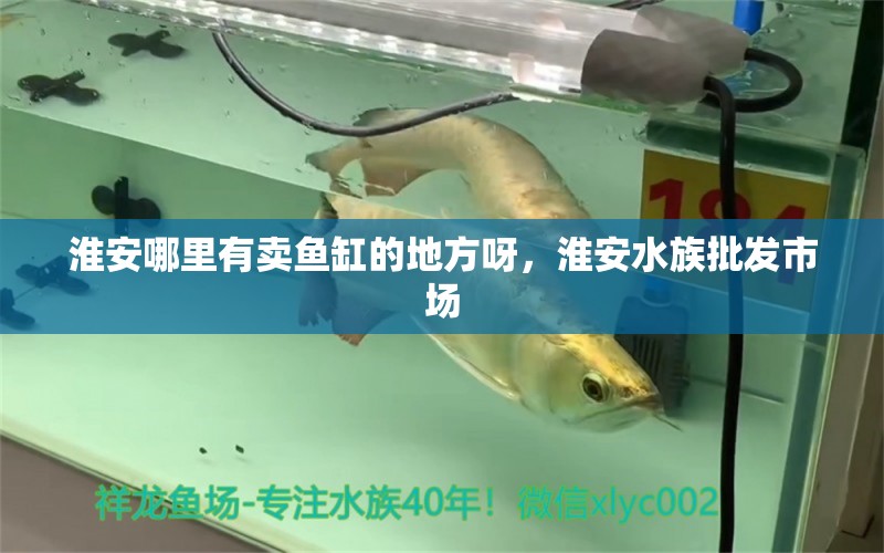 淮安哪里有賣魚缸的地方呀，淮安水族批發(fā)市場 觀賞魚水族批發(fā)市場