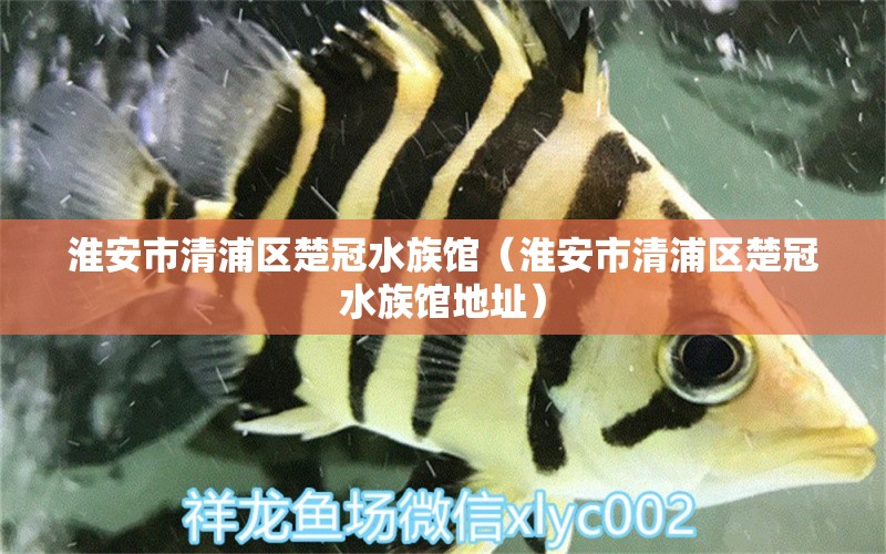 淮安市清浦區(qū)楚冠水族館（淮安市清浦區(qū)楚冠水族館地址） 全國水族館企業(yè)名錄