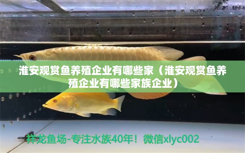 淮安觀賞魚養(yǎng)殖企業(yè)有哪些家（淮安觀賞魚養(yǎng)殖企業(yè)有哪些家族企業(yè)）