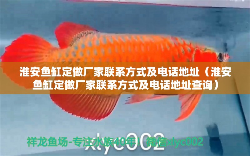 淮安魚缸定做廠家聯(lián)系方式及電話地址（淮安魚缸定做廠家聯(lián)系方式及電話地址查詢）