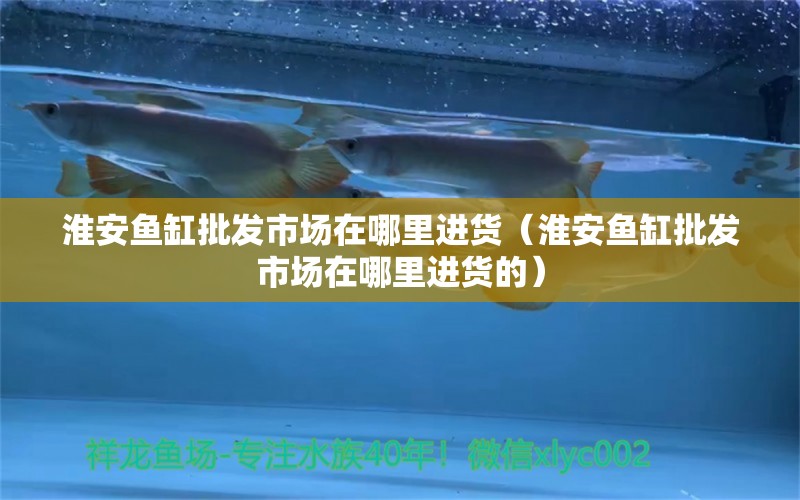 淮安魚缸批發(fā)市場在哪里進貨（淮安魚缸批發(fā)市場在哪里進貨的）