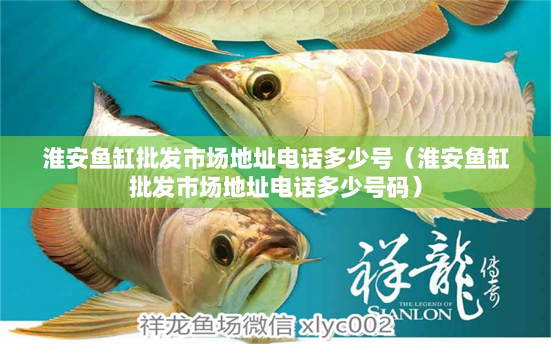 淮安魚缸批發(fā)市場地址電話多少號（淮安魚缸批發(fā)市場地址電話多少號碼）