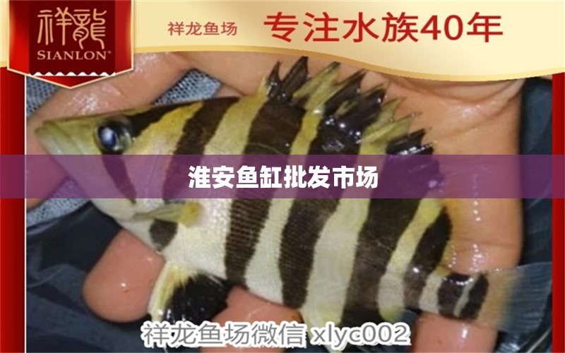 淮安魚缸批發(fā)市場(chǎng) 其他品牌魚缸