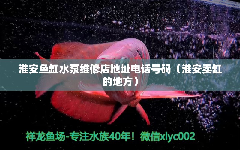 淮安魚缸水泵維修店地址電話號碼（淮安賣缸的地方）