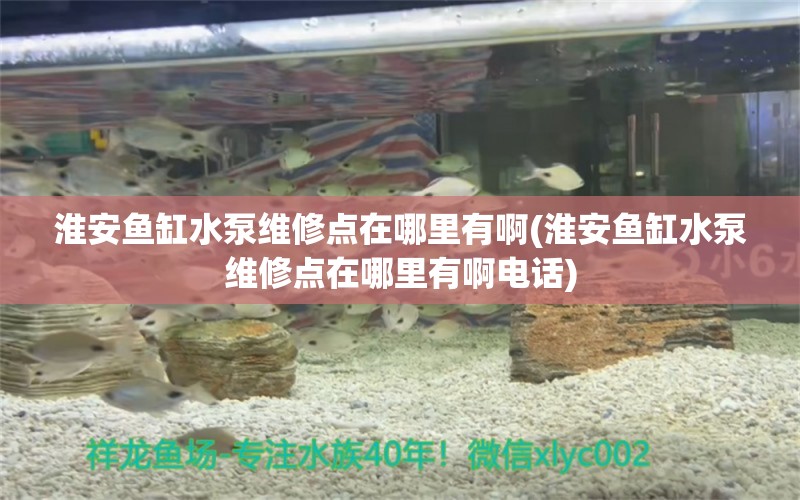 淮安魚缸水泵維修點(diǎn)在哪里有啊(淮安魚缸水泵維修點(diǎn)在哪里有啊電話) 魚缸水泵