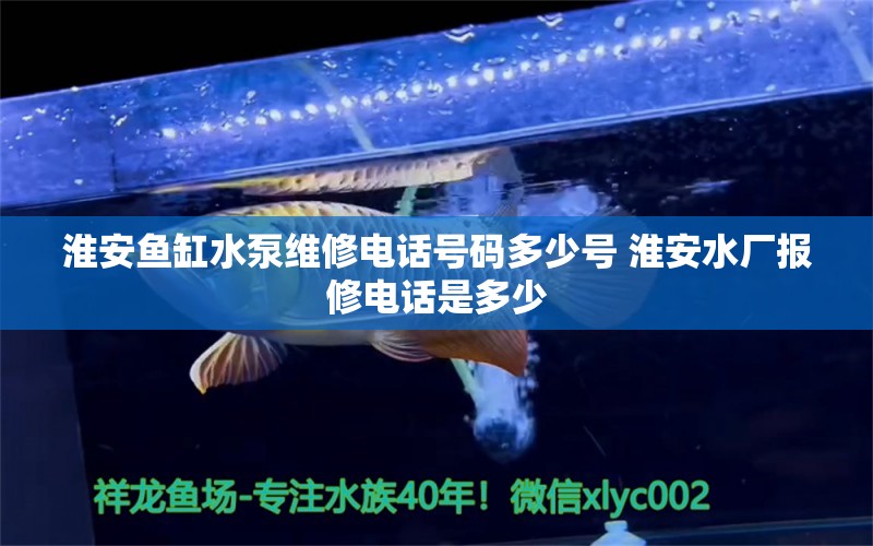 淮安魚缸水泵維修電話號碼多少號 淮安水廠報修電話是多少 魚缸水泵