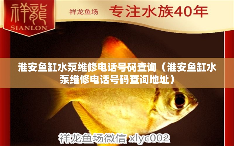 淮安魚缸水泵維修電話號(hào)碼查詢（淮安魚缸水泵維修電話號(hào)碼查詢地址） 魚缸水泵