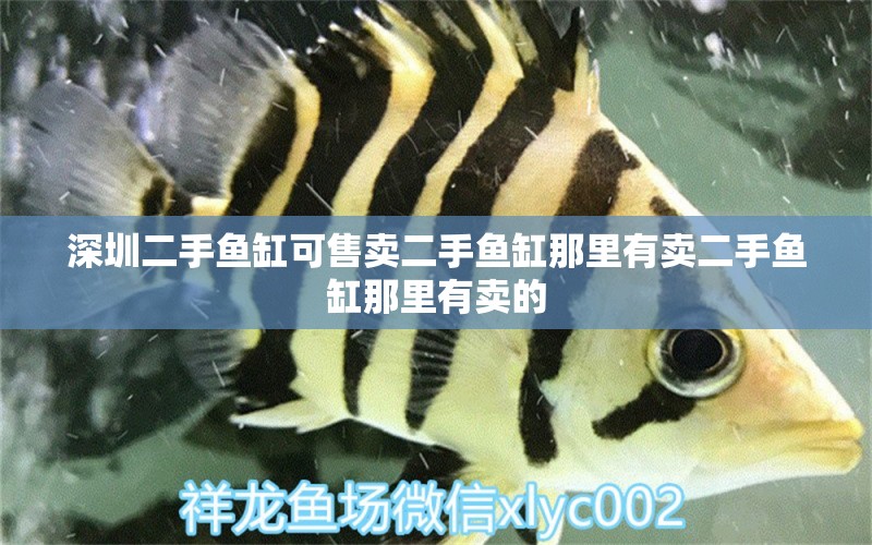 深圳二手魚缸可售賣二手魚缸那里有賣二手魚缸那里有賣的