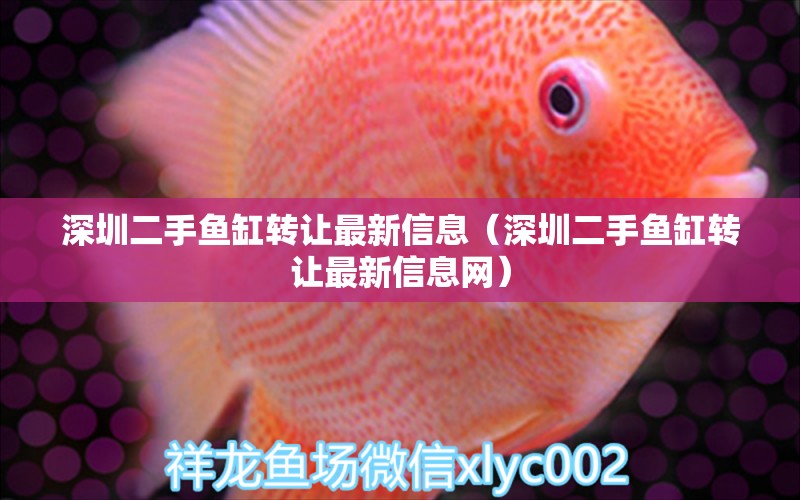 深圳二手魚缸轉讓最新信息（深圳二手魚缸轉讓最新信息網(wǎng)） 祥龍魚場