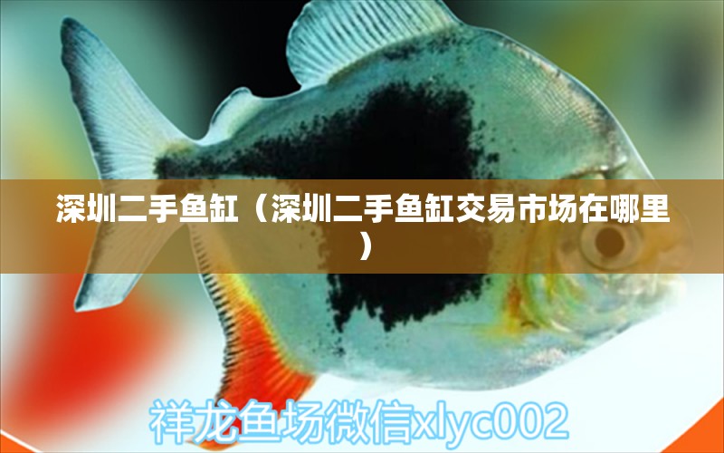 深圳二手魚缸（深圳二手魚缸交易市場(chǎng)在哪里）